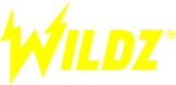 wildz-casino-logo-noir